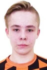 Дворников Илья